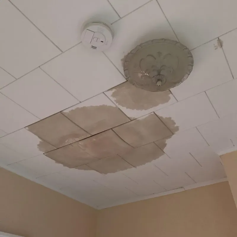 Ceiling Water Damage Repair in Long Island City, NY